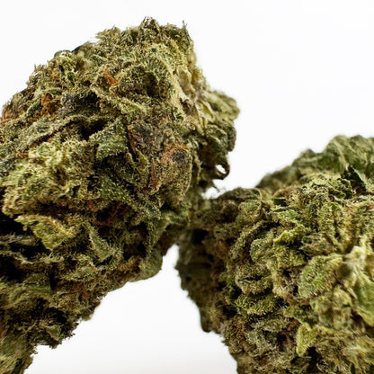 Orangello - Greenhouse