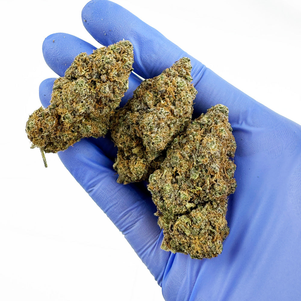 Purple Gaz CBD - Indoor — photo 4