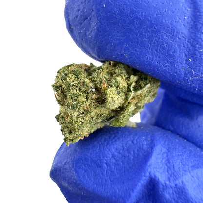 Small buds Gushers V+ - Indoor — photo 3