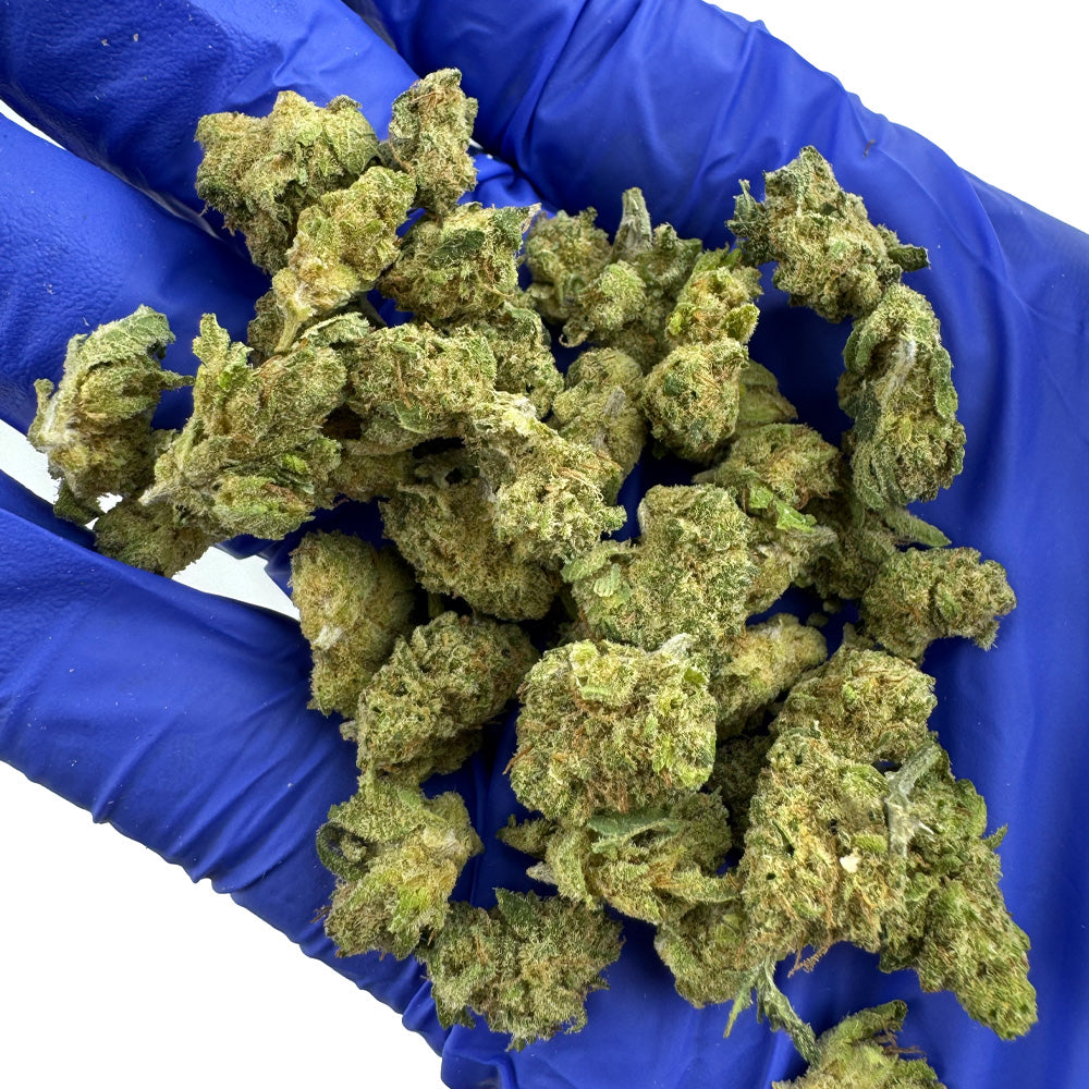 Small buds Gushers V+ - Indoor — photo 4