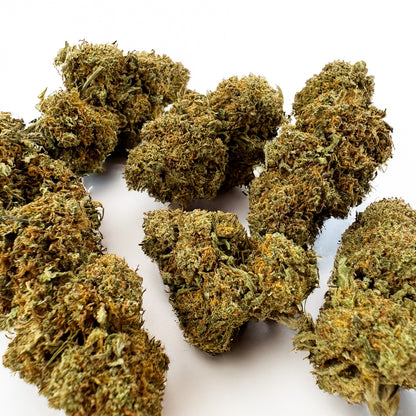 Strawberry - Glasshouse