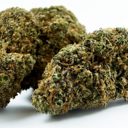 Sunset Sherbert CBD - Indoor