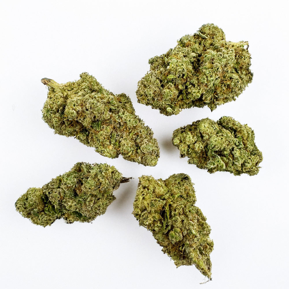 Pack échantillons - Mix 5 Fleurs & 5 Résines - 10 x 5g