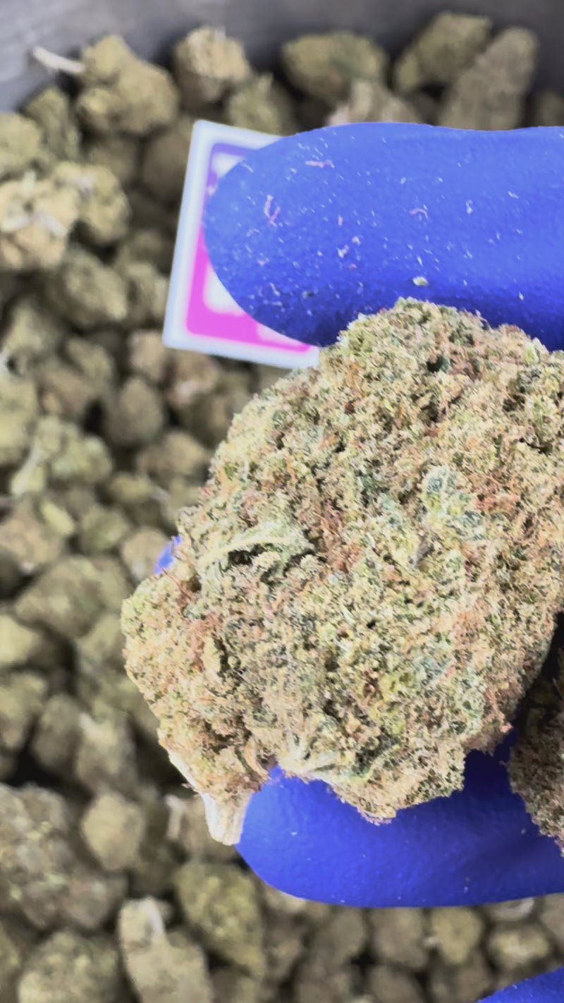 Vidéo de présentation de la MAC Alien Cookies CBD Indoor