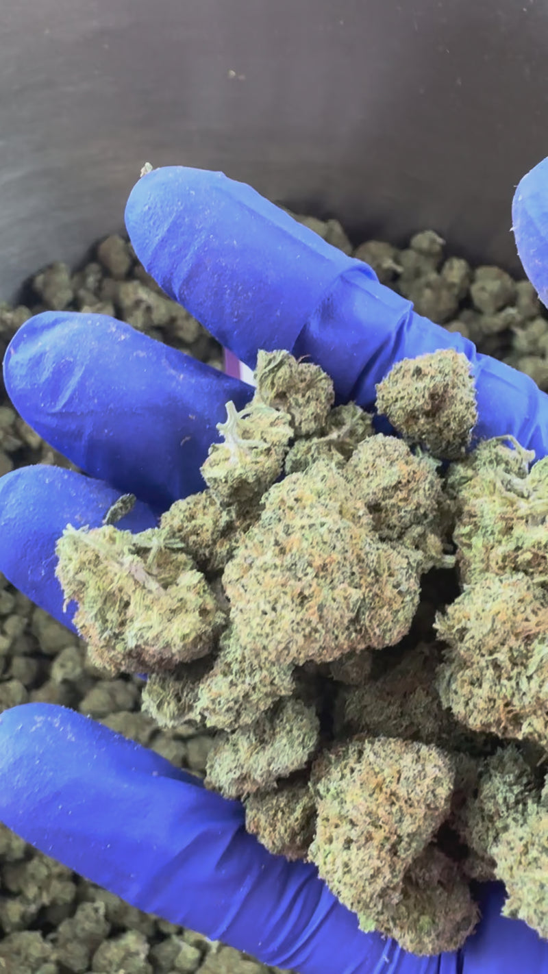 Medium buds Plutonium - Indoor — vidéo de présentation