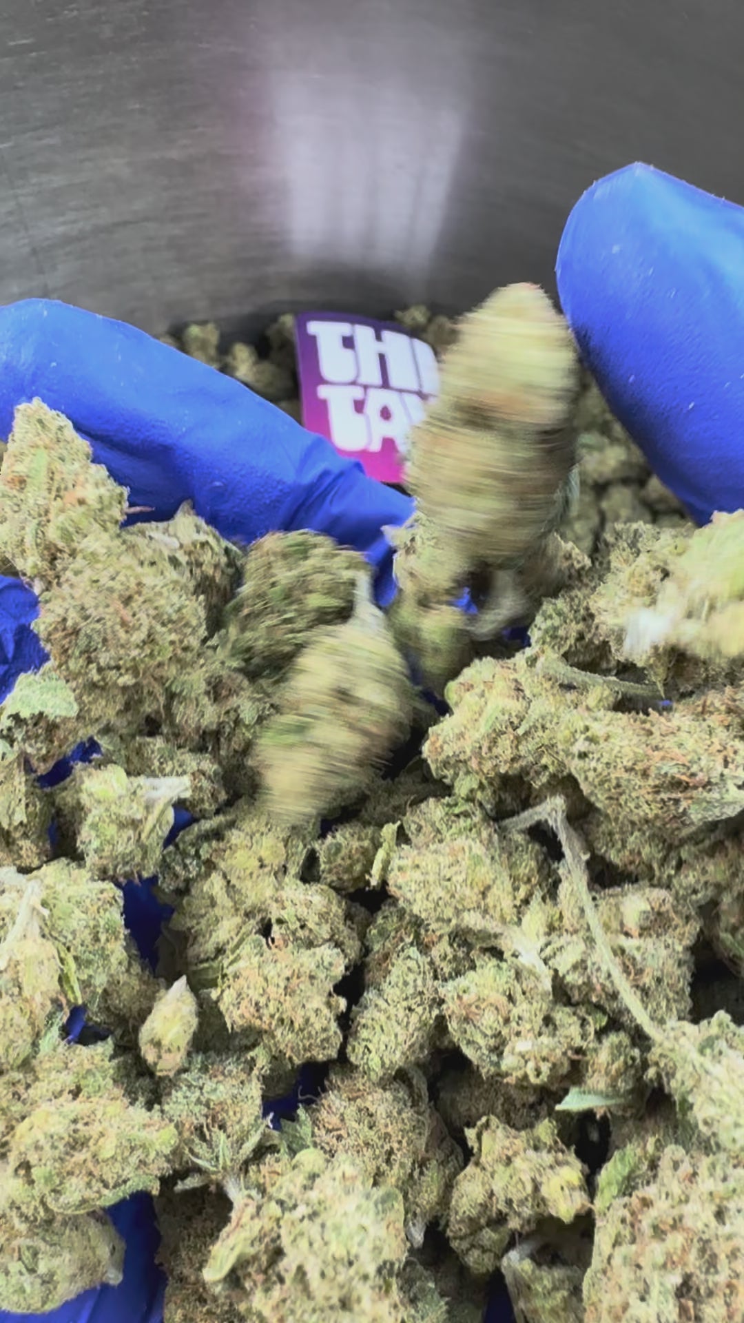 Charger la vidéo: Medium buds Gushers V+ - Indoor — vidéo de présentation