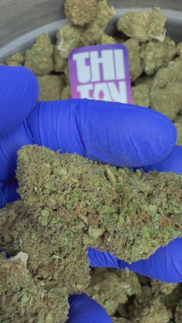 Charger la vidéo: Super Special Sauce - Indoor USA — vidéo de présentation