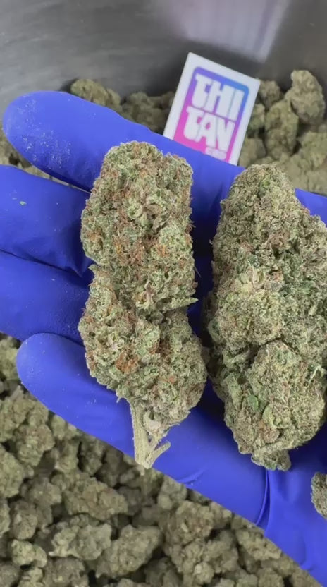 Charger la vidéo: Vidéo de présentation de l'Apple Pie Indoor CBD