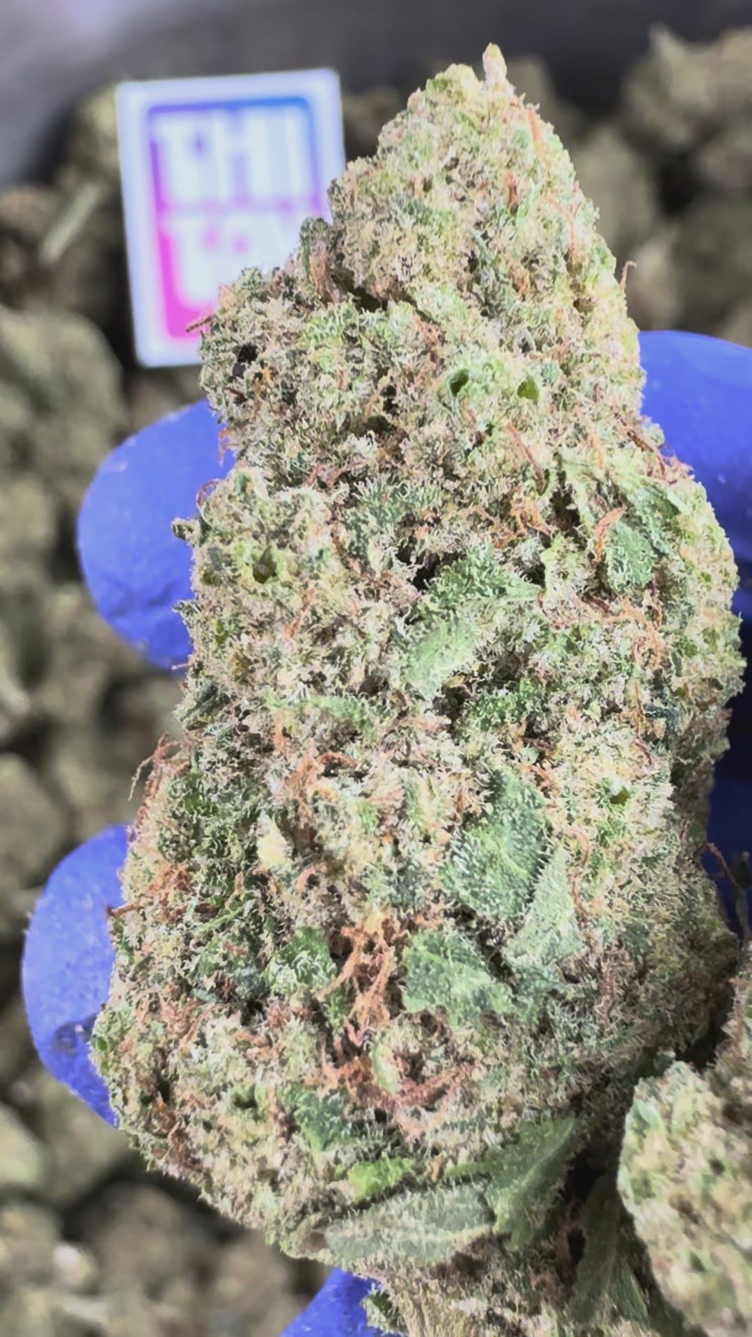 Charger la vidéo: Vidéo de présentation du Ice-O-Lator 40% CBD