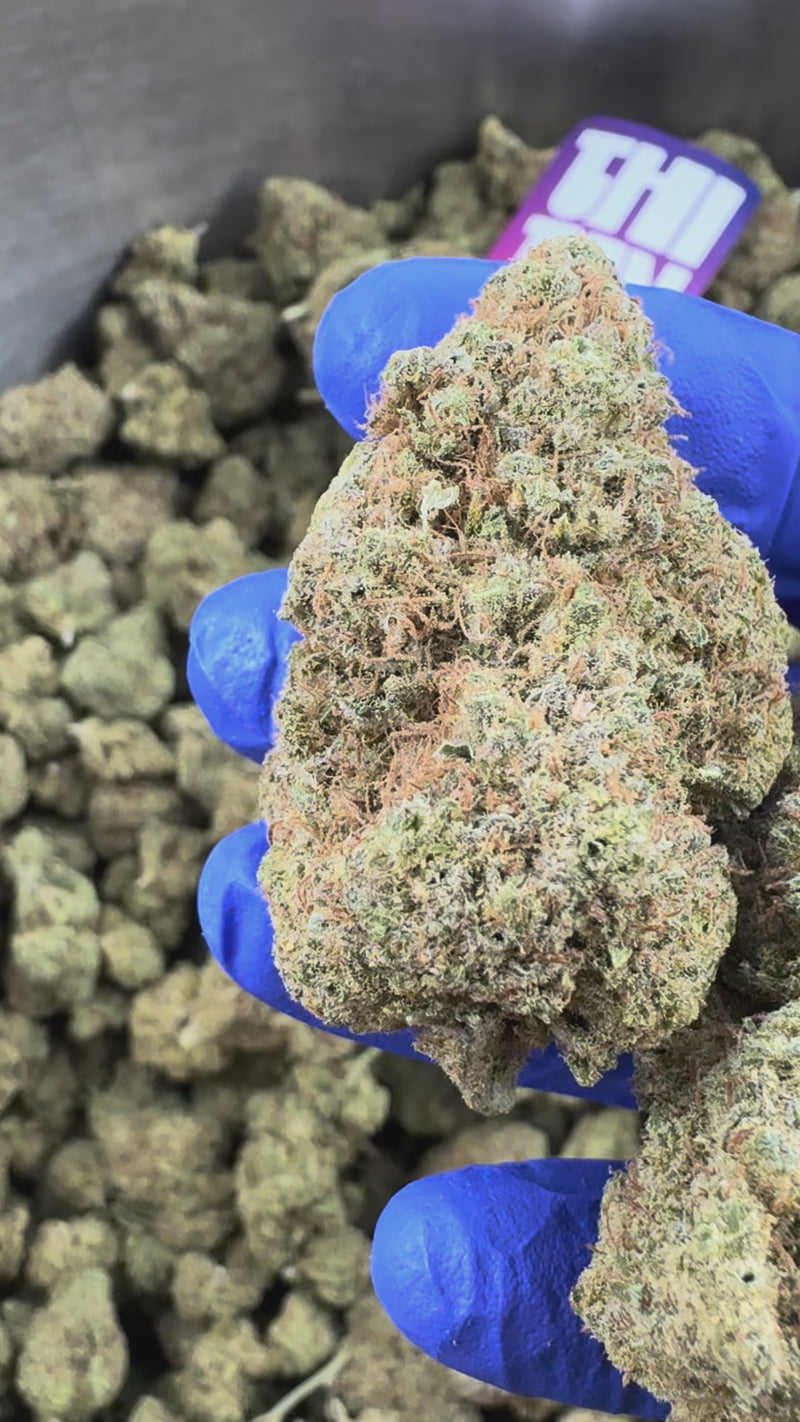 Gushers CBD - Indoor — vidéo de présentation