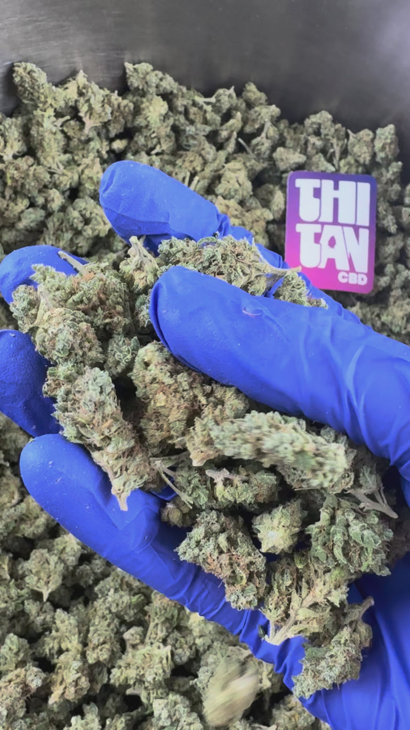 Small buds NLX - Indoor — vidéo de présentation