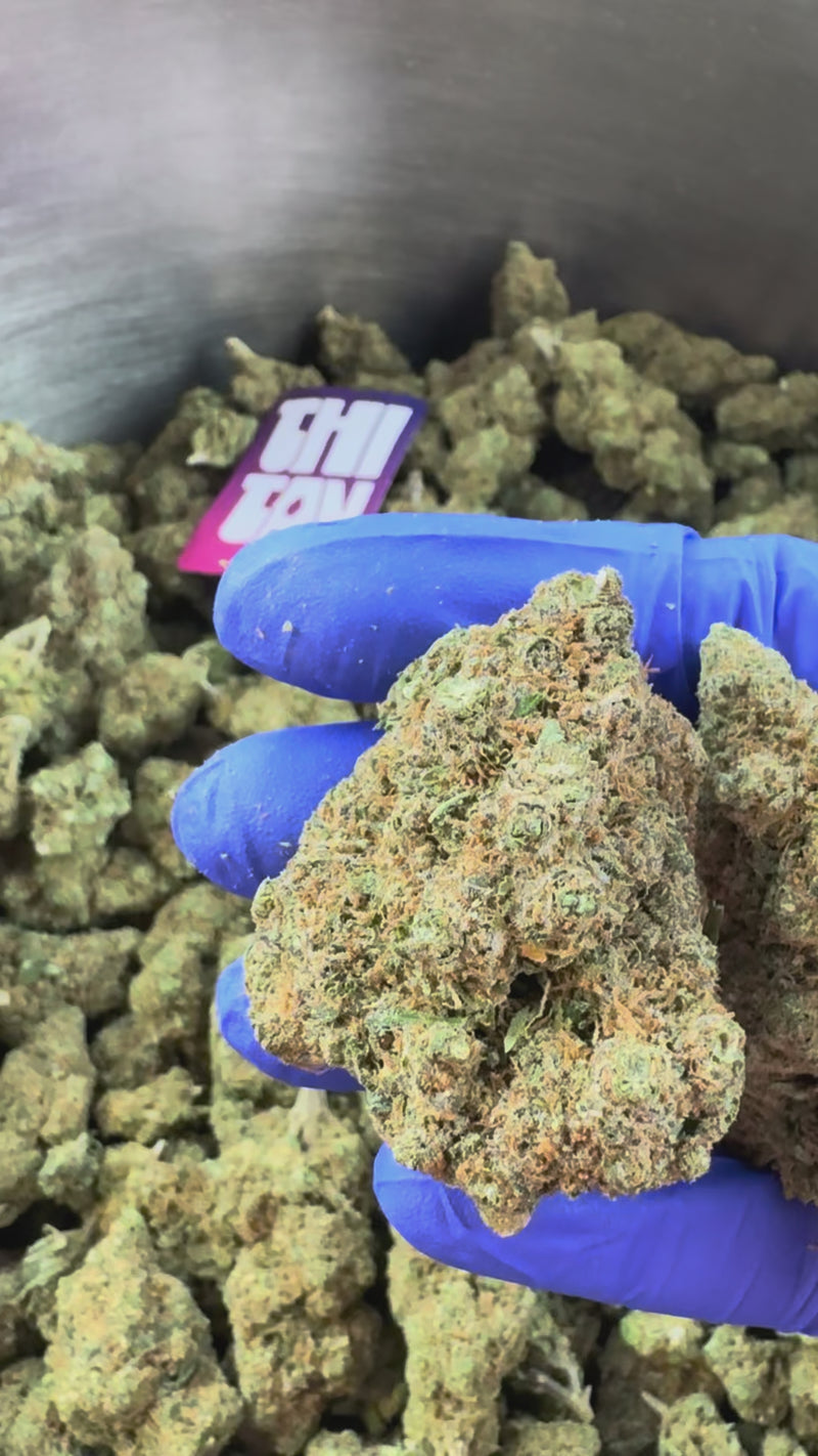 Wedding Cake HQxCT CBD - Indoor — vidéo de présentation